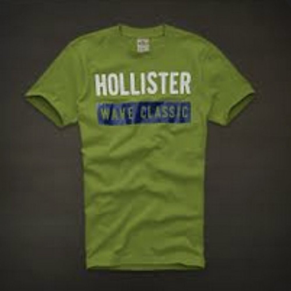 Hollister Dudes Small Hollister Wave Classic T Shirt Short Sleeve Green Navy New